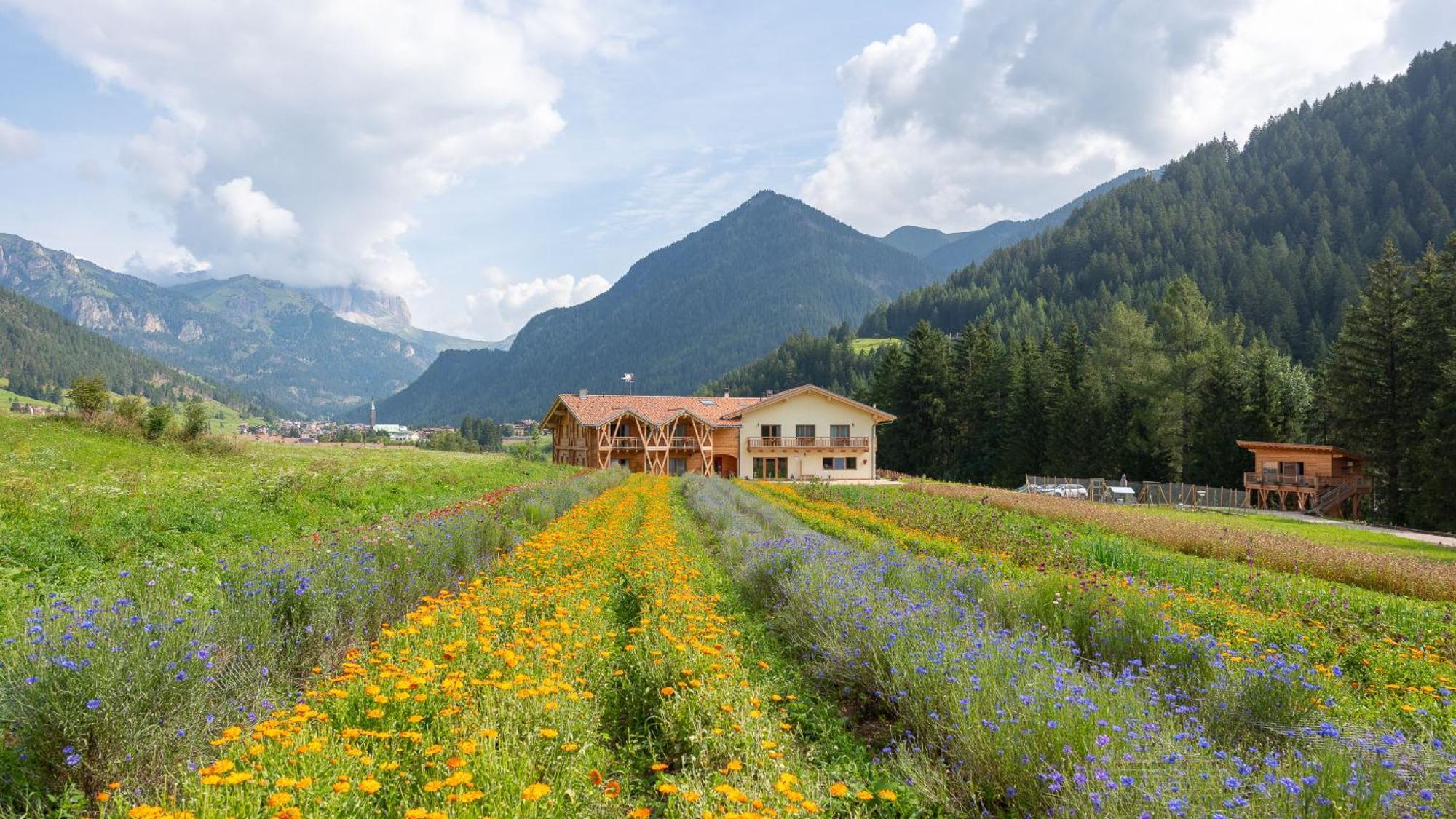 Eco-Green Fiores Agriturismo Vigo di Fassa Extérieur photo